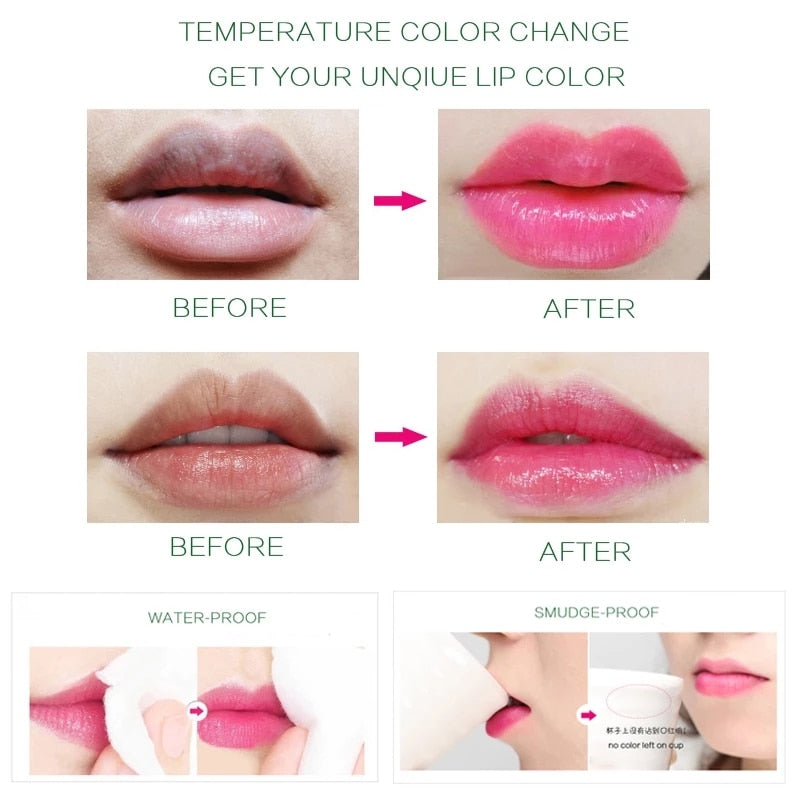 Aloe Vera Moisturizing Lip Balm - GlamSnatch